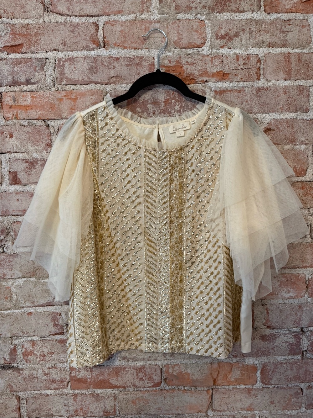 Let Me Be Sequined Embroidered Tulle Sleeve Top